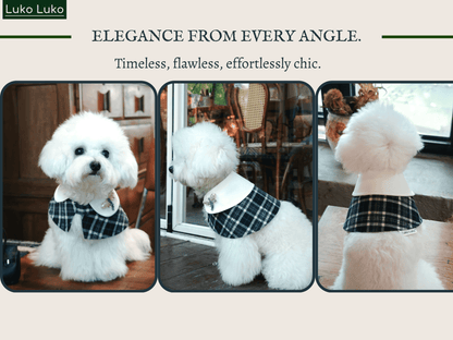 Sophie-French Elegance Cape Bandana with Optional Brooches