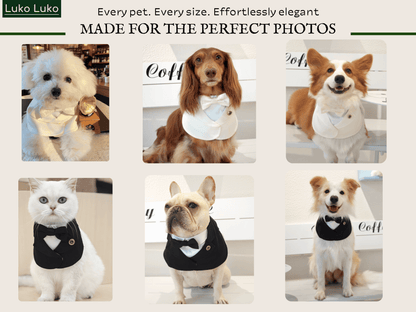 Oxford – Bowtie Suit for Dogs  | Elegant Formal Pet Outfit
