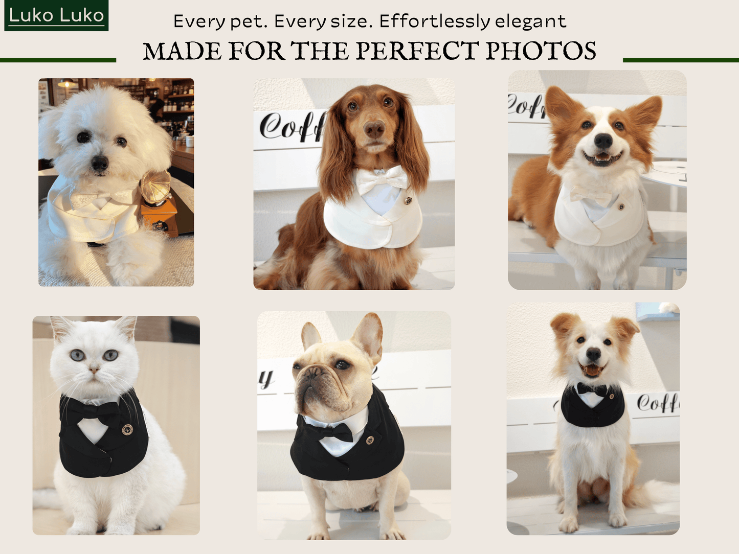 Oxford – Bowtie Suit for Dogs  | Elegant Formal Pet Outfit