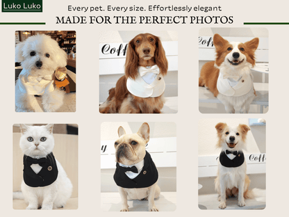 Oxford – Bowtie Suit for Dogs  | Elegant Formal Pet Outfit