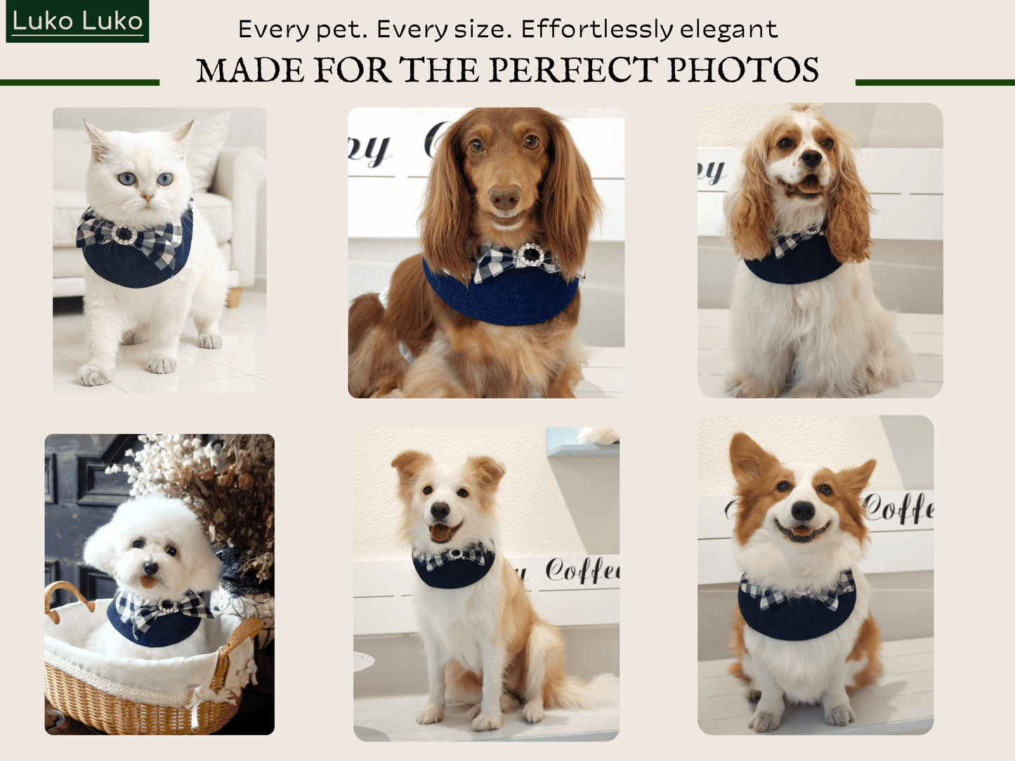 Jessie - Denim Bow Dog Cape | Western Charm & Stylish Design