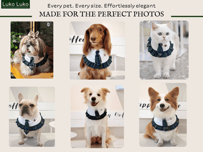 Emma – Schoolgirl Dog Outfit | Adorable Pet Uniform