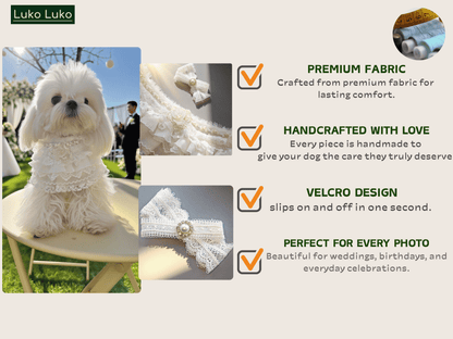 Juliette – Lace Dog Dress | Elegant Formal Style
