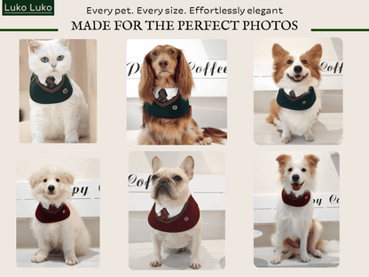 Ivy – Red & Green Preppy Dog Bandana | Stylish Occasion Wear