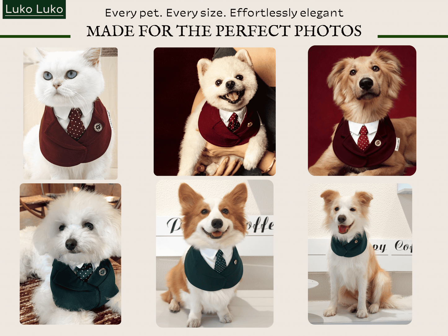 Windsor – Burgundy & Green Dog Suit | Elegant Outfit