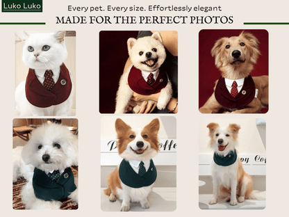 Windsor – Burgundy & Green Dog Suit | Elegant Outfit