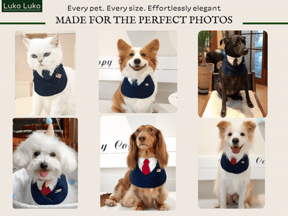 President – Red & Blue Tie Dog Suit | Formal Style
