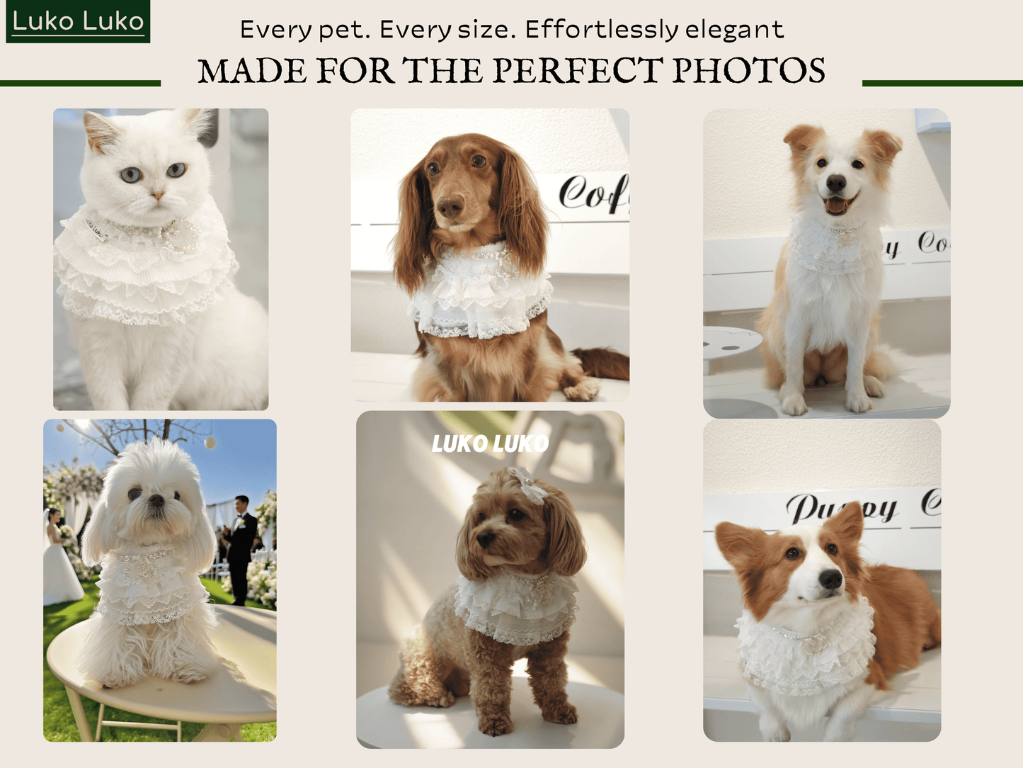 Juliette – Lace Dog Dress | Elegant Formal Style