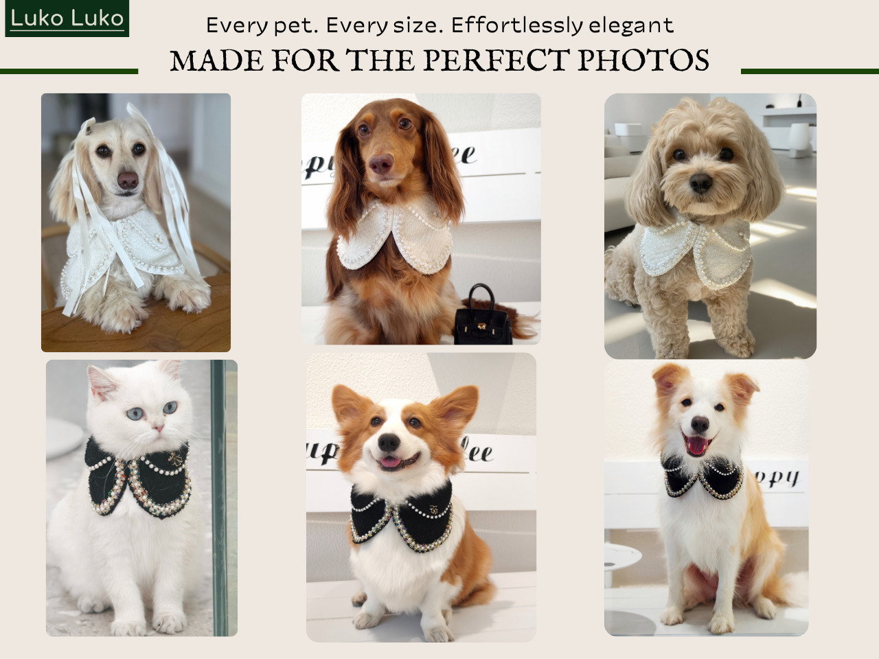 Jacqueline – Black & White Pearl Dog Jacket | Chic Formal Look