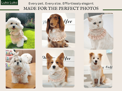 Ella –  Pink Lace Dress for Pets | Soft, Elegant, Comfortable