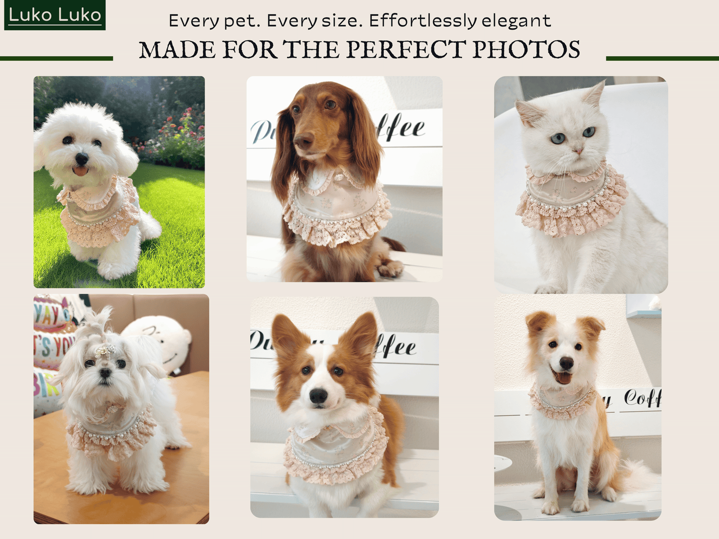 Ella –  Pink Lace Dress for Pets | Soft, Elegant, Comfortable