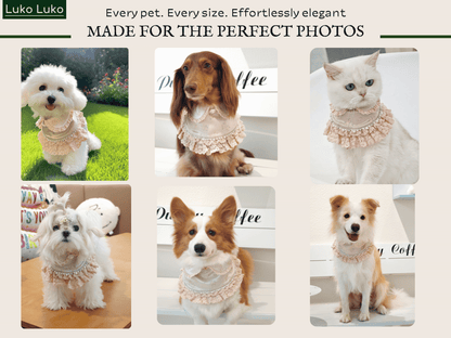 Ella –  Pink Lace Dress for Pets | Soft, Elegant, Comfortable