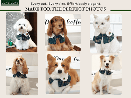 Evelyn - Green Plaid Dog Cape | Classic Elegance & Versatile Charm