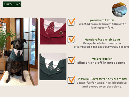 Windsor – Burgundy & Green Dog Suit | Elegant Outfit