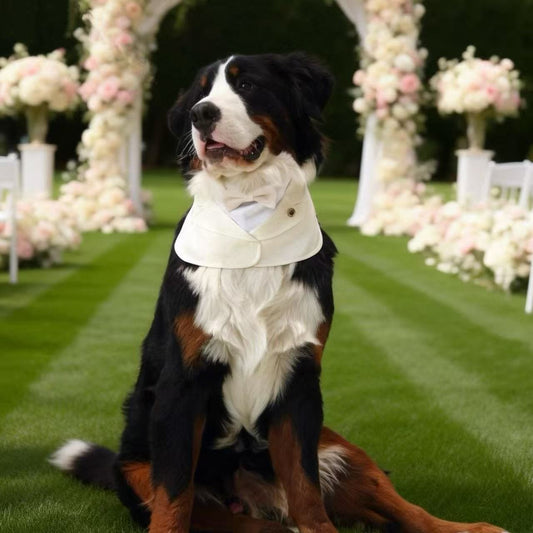 Oxford – Bowtie Suit for Dogs  | Elegant Formal Pet Outfit