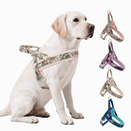 Floral Dog Harness Leash Set, Padded Adjustable Vest, Quick Release Buckle, Alloy O-Ring Webbing