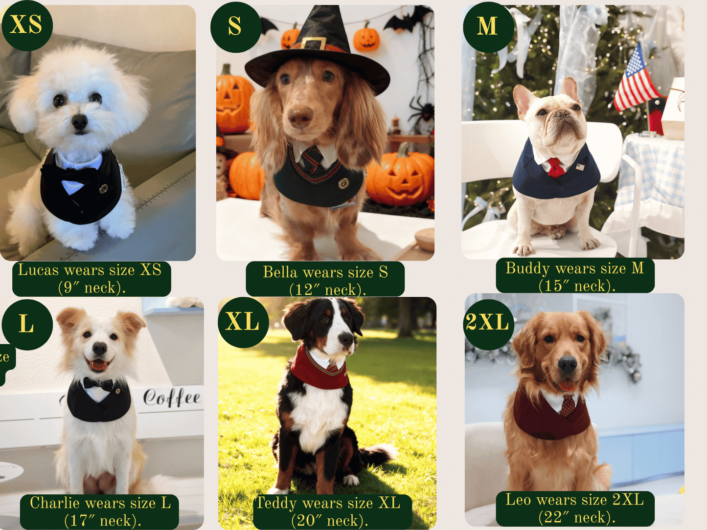 Juliette – Lace Dog Dress | Elegant Formal Style