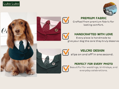 Windsor – Burgundy & Green Dog Suit | Elegant Outfit