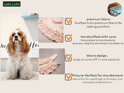 Ella –  Pink Lace Dress for Pets | Soft, Elegant, Comfortable