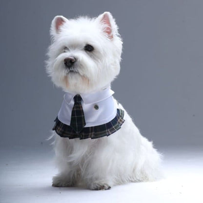 Emma – Schoolgirl Dog Outfit | Adorable Pet Uniform