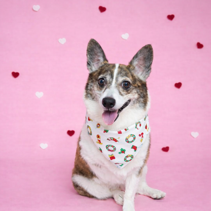 Avery – Christmas Bandana for Dogs | Holiday Style