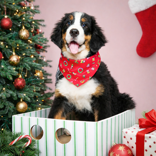 Avery – Christmas Bandana for Dogs | Holiday Style