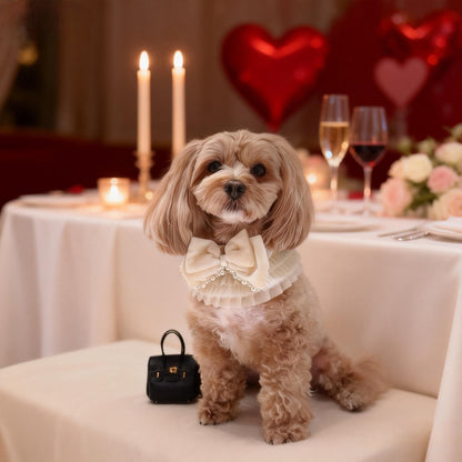 Barbara – Sweet Valentine Elegance Lace Collar with Bow Options