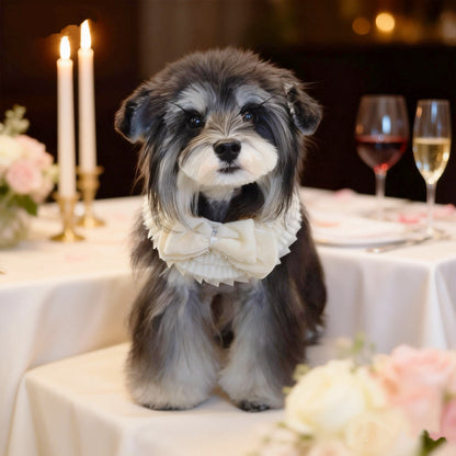 Barbara – Sweet Valentine Elegance Lace Collar with Bow Options