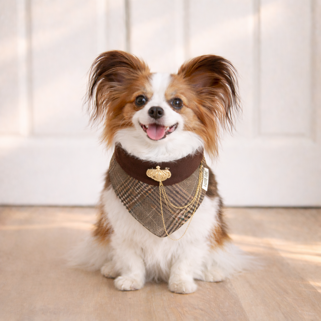 Pre-order|Chester – Handmade Old Money Plaid Bandana for Cats and Dogs