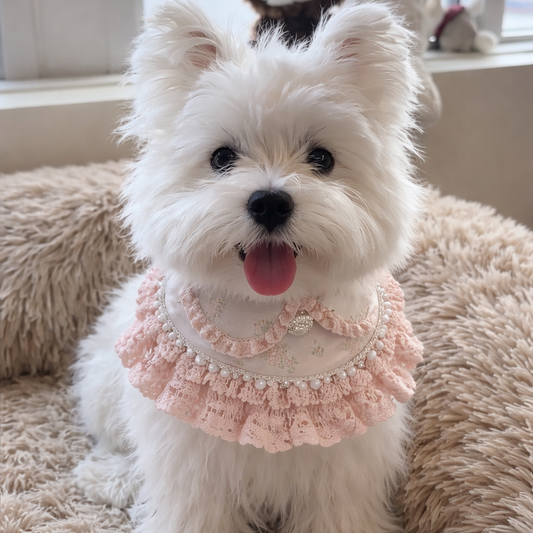 Ella –  Pink Lace Dress for Pets | Soft, Elegant, Comfortable
