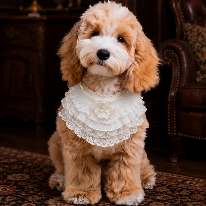 Juliette – Lace Dog Dress | Elegant Formal Style