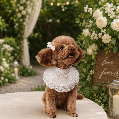 Juliette – Lace Dog Dress | Elegant Formal Style
