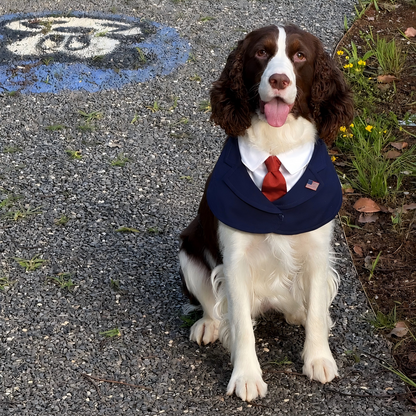 President – Red & Blue Tie Dog Suit | Formal Style