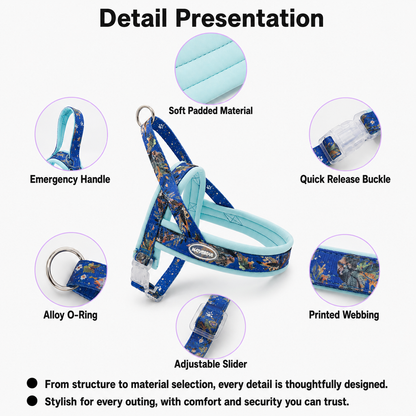 Floral Dog Harness Leash Set, Padded Adjustable Vest, Quick Release Buckle, Alloy O-Ring Webbing