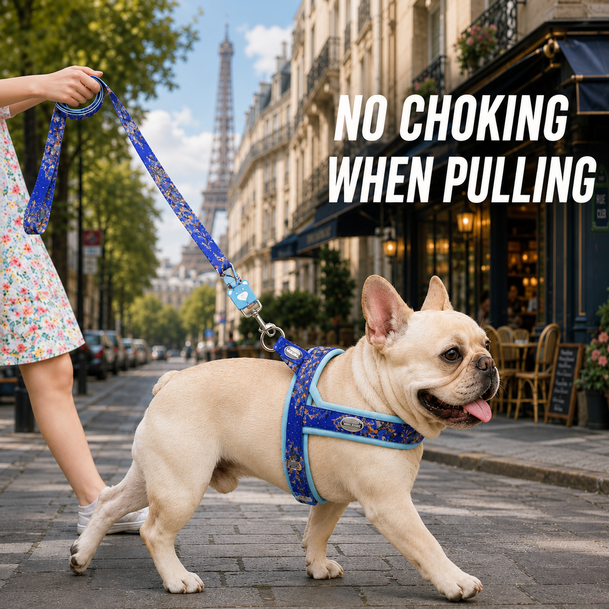 Floral Dog Harness Leash Set, Padded Adjustable Vest, Quick Release Buckle, Alloy O-Ring Webbing