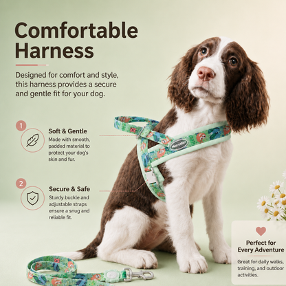 Floral Dog Harness Leash Set, Padded Adjustable Vest, Quick Release Buckle, Alloy O-Ring Webbing