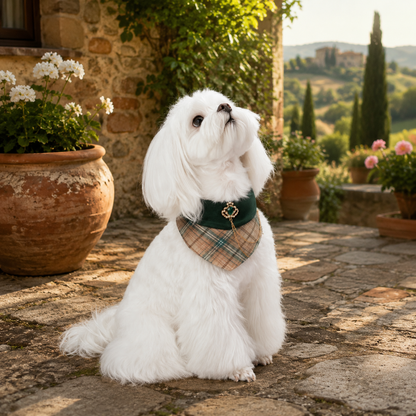 Elizabeth – Handmade Regal Plaid Bandana for Cats and Dogs