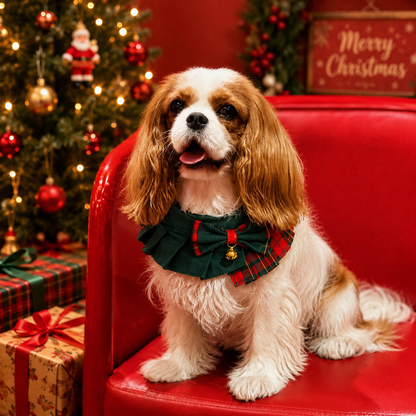 Noelle – Red & Green Plaid Dog Dress | Christmas Holiday Style