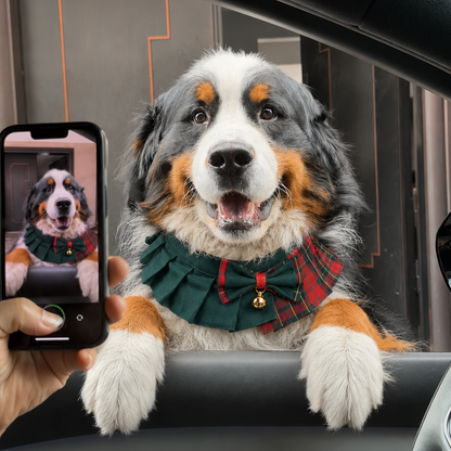 Noelle – Red & Green Plaid Dog Dress | Christmas Holiday Style
