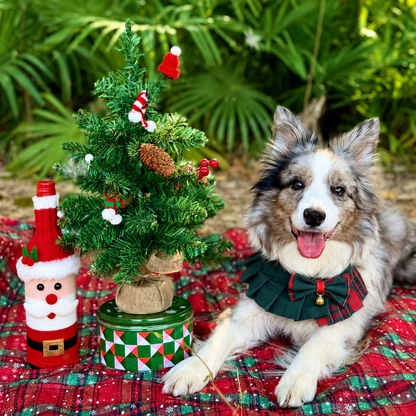 Noelle – Red & Green Plaid Dog Dress | Christmas Holiday Style