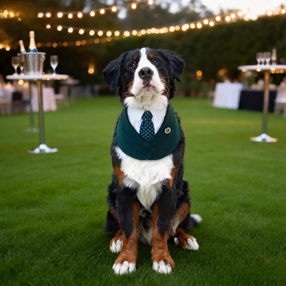 Windsor – Burgundy & Green Dog Suit | Elegant Outfit