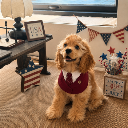 Windsor – Burgundy & Green Dog Suit | Elegant Outfit