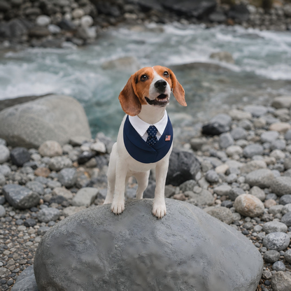 President – Red & Blue Tie Dog Suit | Formal Style