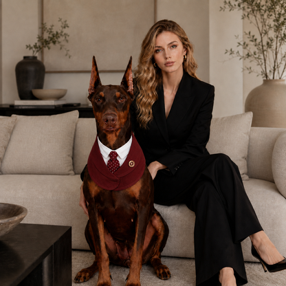 Windsor – Burgundy & Green Dog Suit | Elegant Outfit