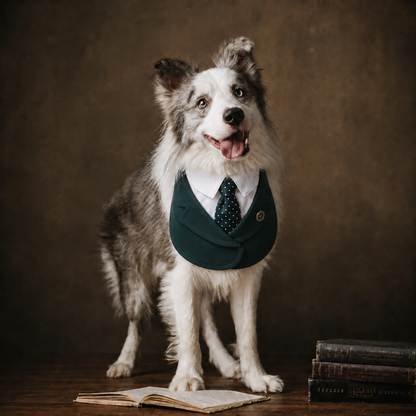Windsor – Burgundy & Green Dog Suit | Elegant Outfit