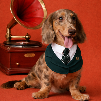 Windsor – Burgundy & Green Dog Suit | Elegant Outfit