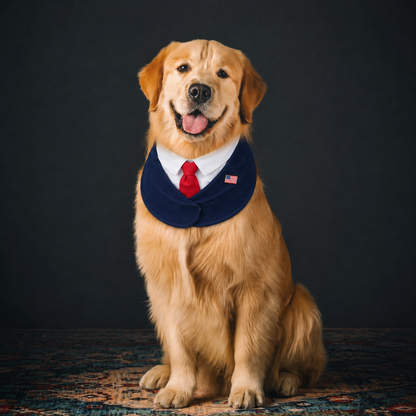 President – Red & Blue Tie Dog Suit | Formal Style