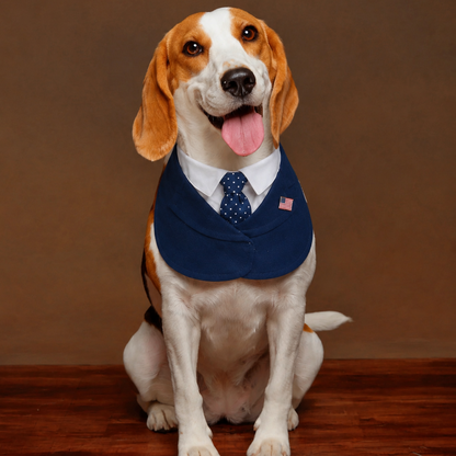 President – Red & Blue Tie Dog Suit | Formal Style