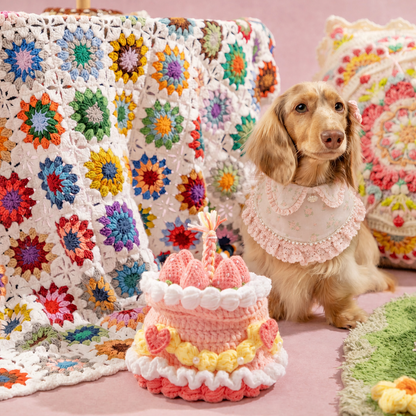 Ella –  Pink Lace Dress for Pets | Soft, Elegant, Comfortable