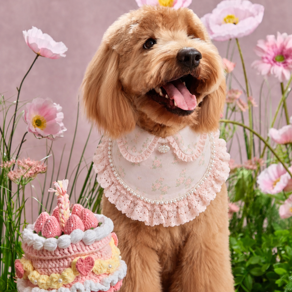 Ella –  Pink Lace Dress for Pets | Soft, Elegant, Comfortable
